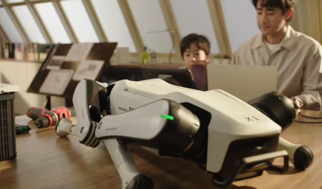 年人玩具男士福音啊！开元ky棋牌国产成(图2)